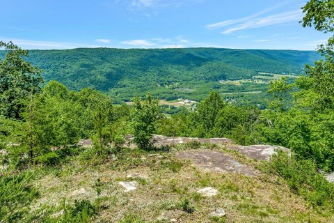 8.5-Acre Bluff Lot in Jasper