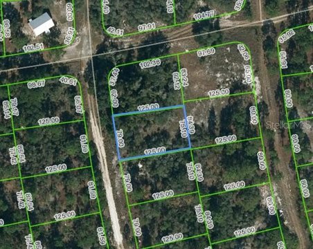 Residential Land in Lake Placid