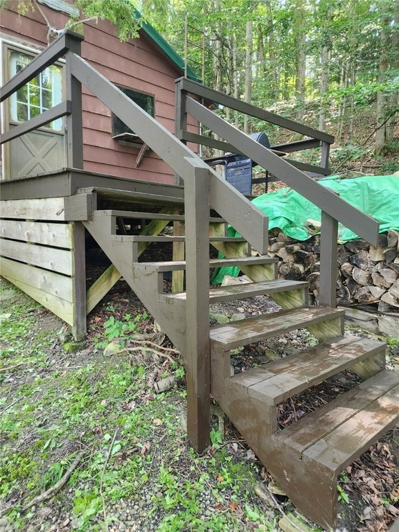 Picture 6