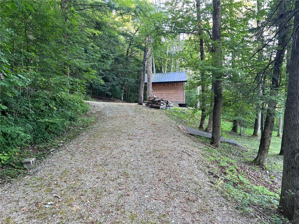 Picture 4