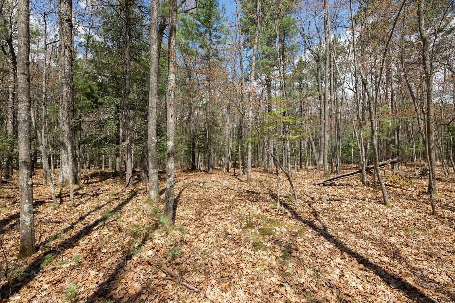 Eagle River Buildable Land