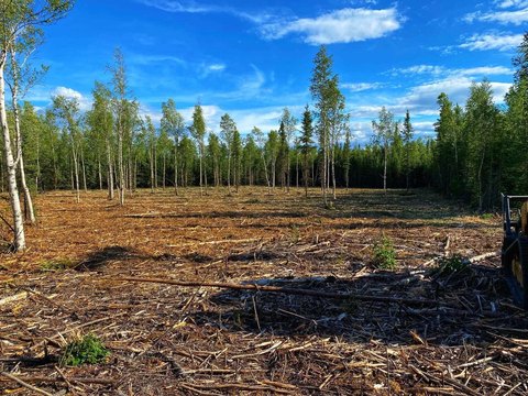 Cleared Land in Delta Junction