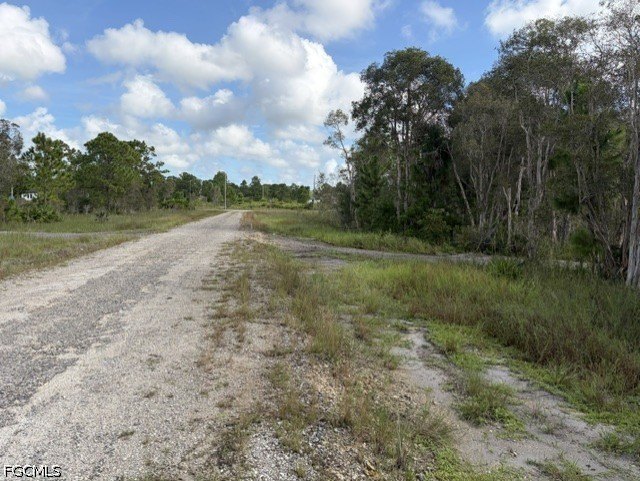 Picture 3
