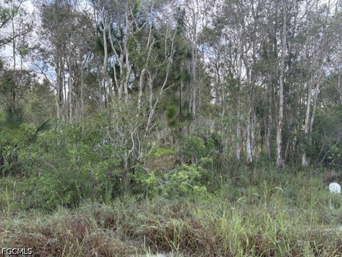 Land, Lehigh Acres, FL