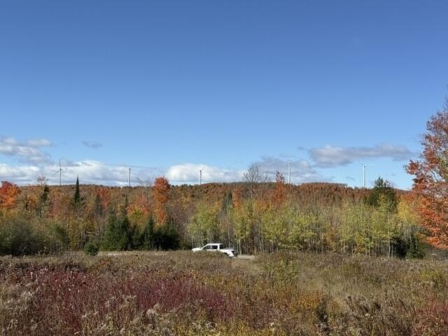Picture 12
