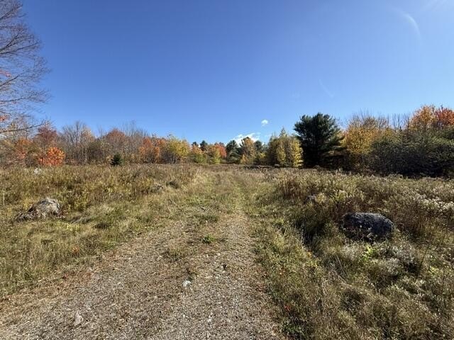 Picture 11