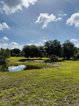 Land, Okeechobee, FL