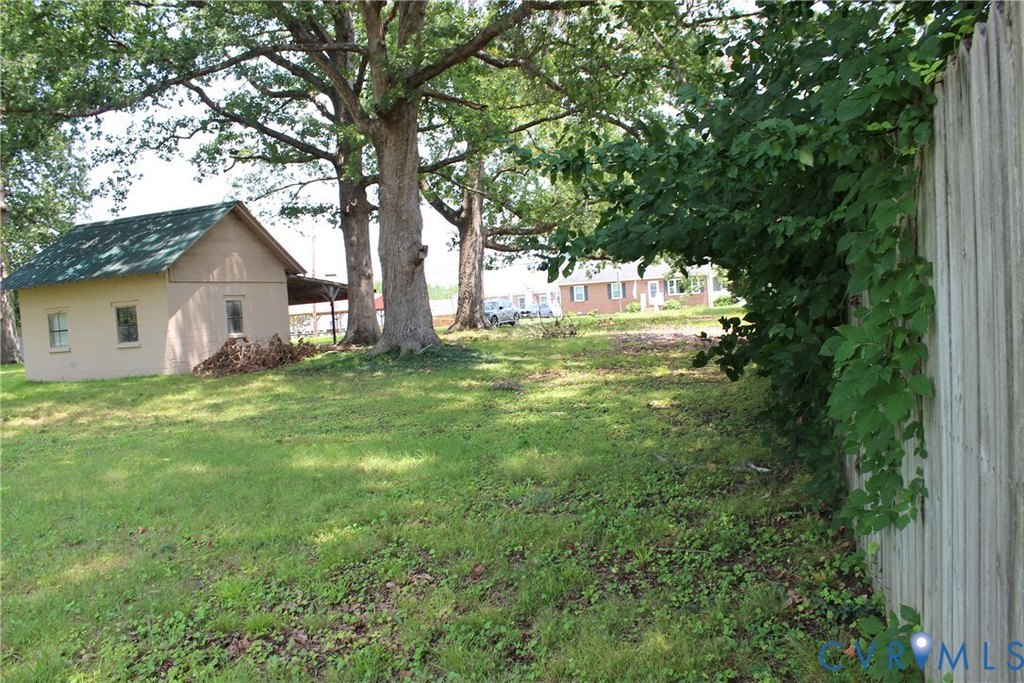 Picture 8