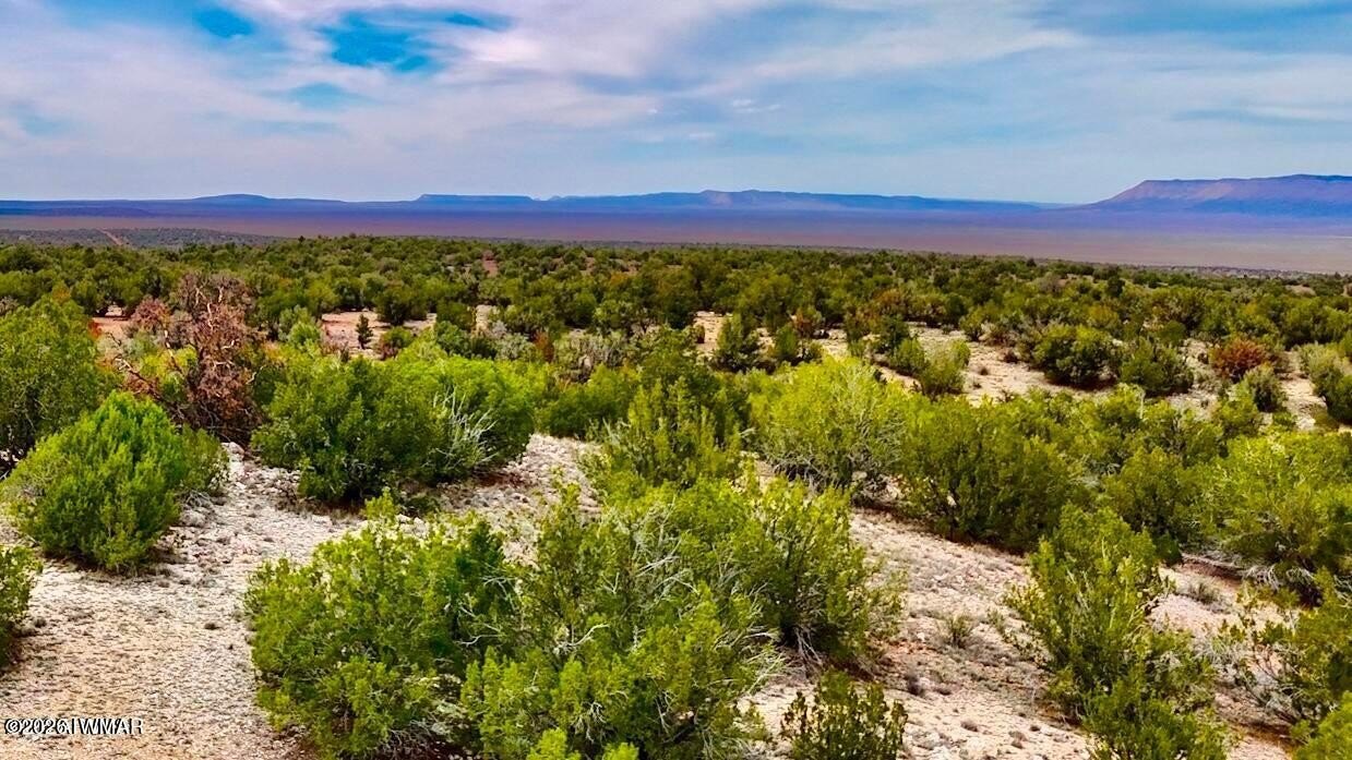 Heavily Treed Land with Views