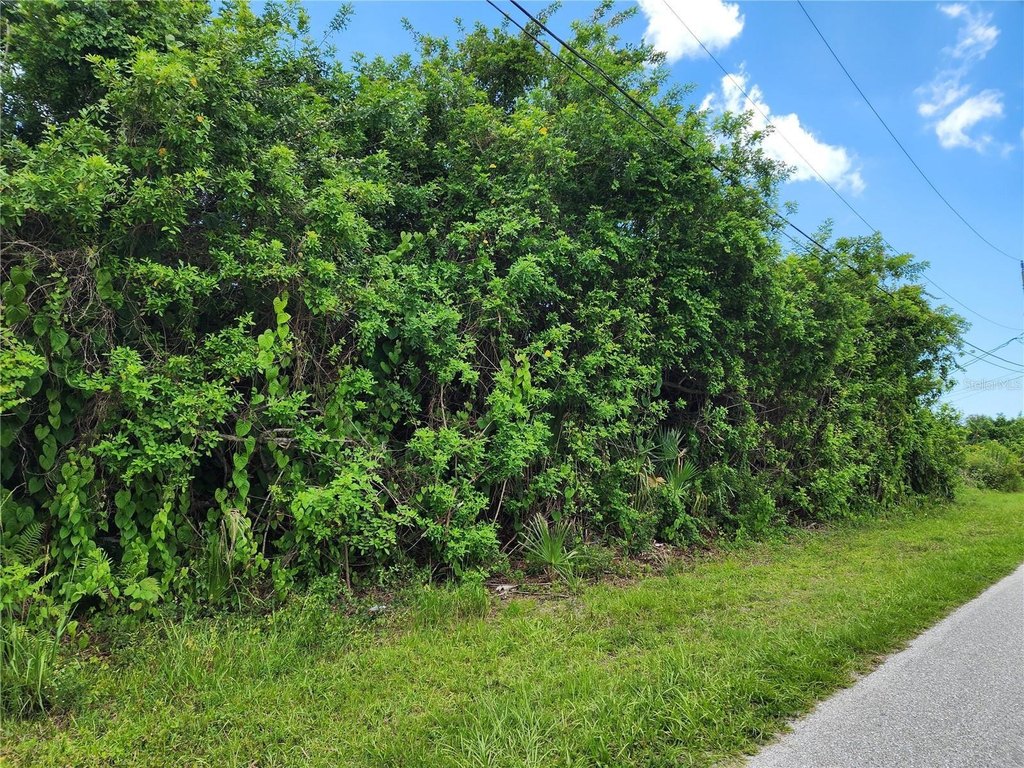 Picture 5