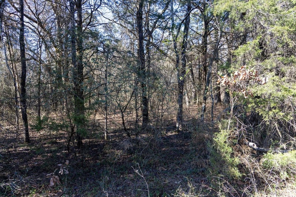 Picture 29