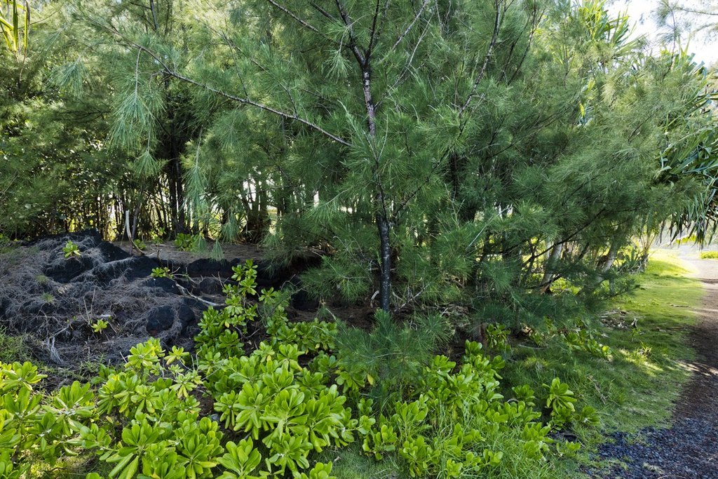Picture 22