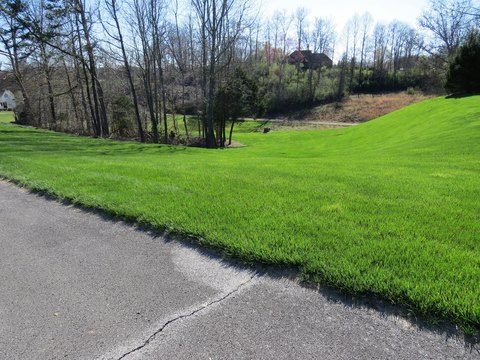 LAND - Heidrick, KY