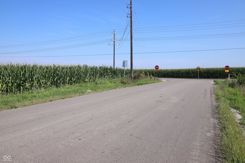 Picture 4