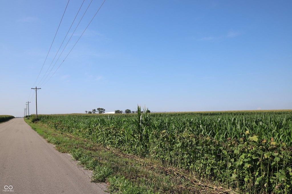 Picture 7