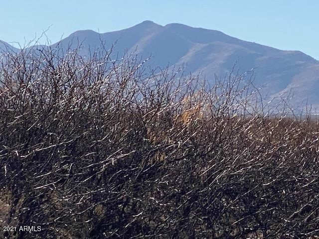 McNeal, AZ Land Parcel