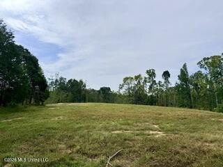 Land, Como, MS