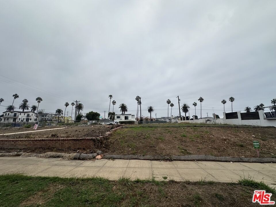 Picture 3