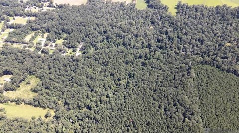 Surveyed Agricultural Land Parcel