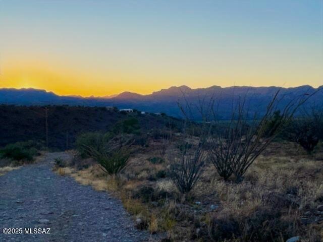 Rio Rico Vacant Land Lot