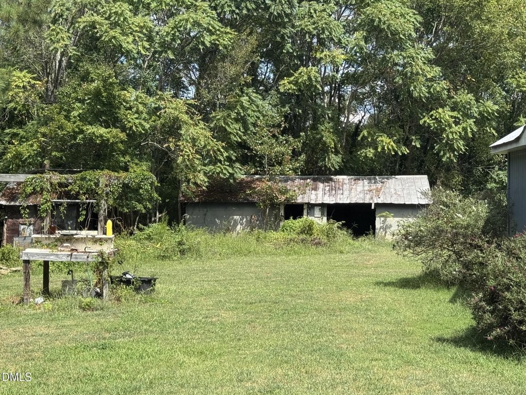 Picture 5