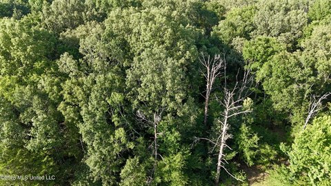 Land, Madison, MS