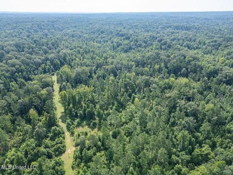 201 Acres Hunting Land, Utica