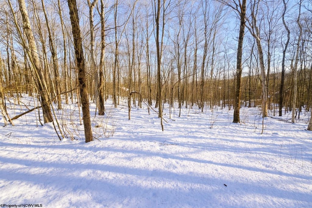 Picture 8