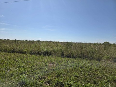 Land, Blountstown, FL