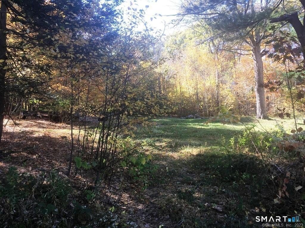 Picture 3