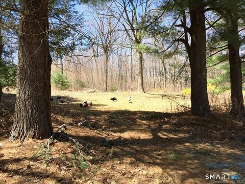 Lots and Land For Sale, Litchfield, CT
