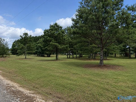 LAND - Centre, AL