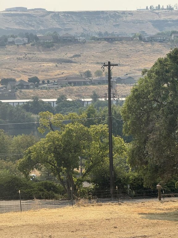 Picture 25