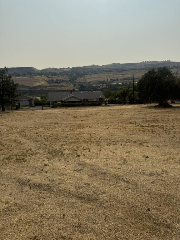 Picture 28