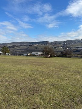 Land with Snake River Views