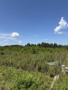 LAND, Loris, SC