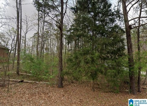 LAND/LOTS, PINSON, AL