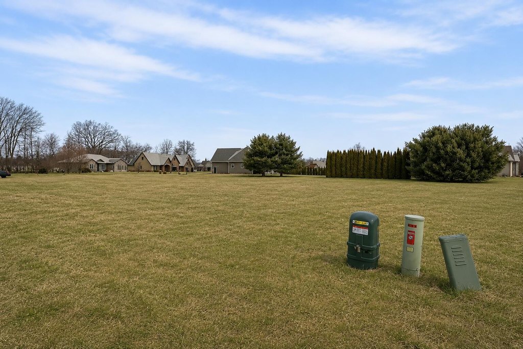 Picture 15