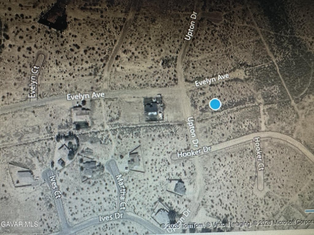Picture 2