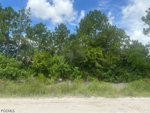 LAND - Lehigh Acres, FL