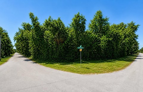 Corner Residential Lot in Homosassa