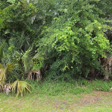 LAND - PALM COAST, FL