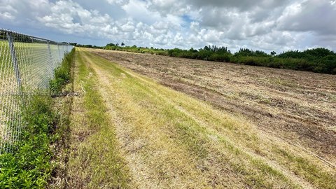 Partially Fenced Farmland Parcel