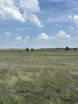 Cleared Land in China Spring