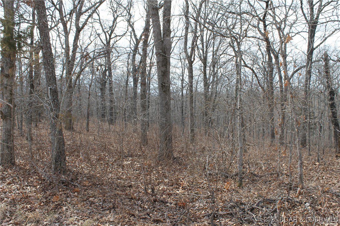 Forbes Lake of the Ozarks Lot