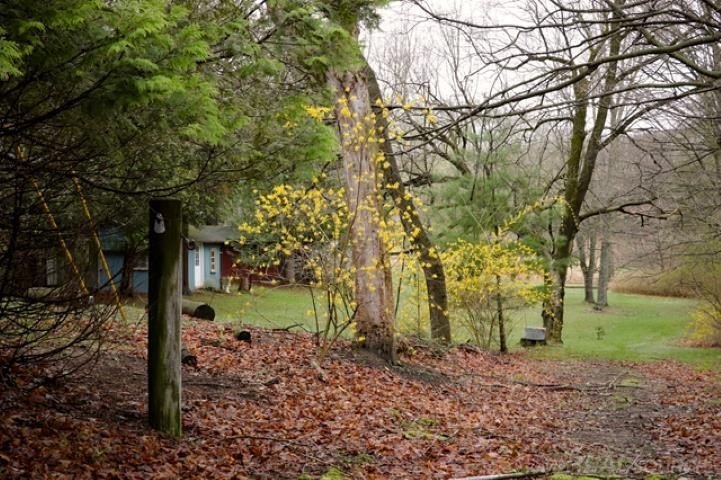 Picture 3