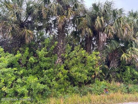 Palm Bay Land For Sale