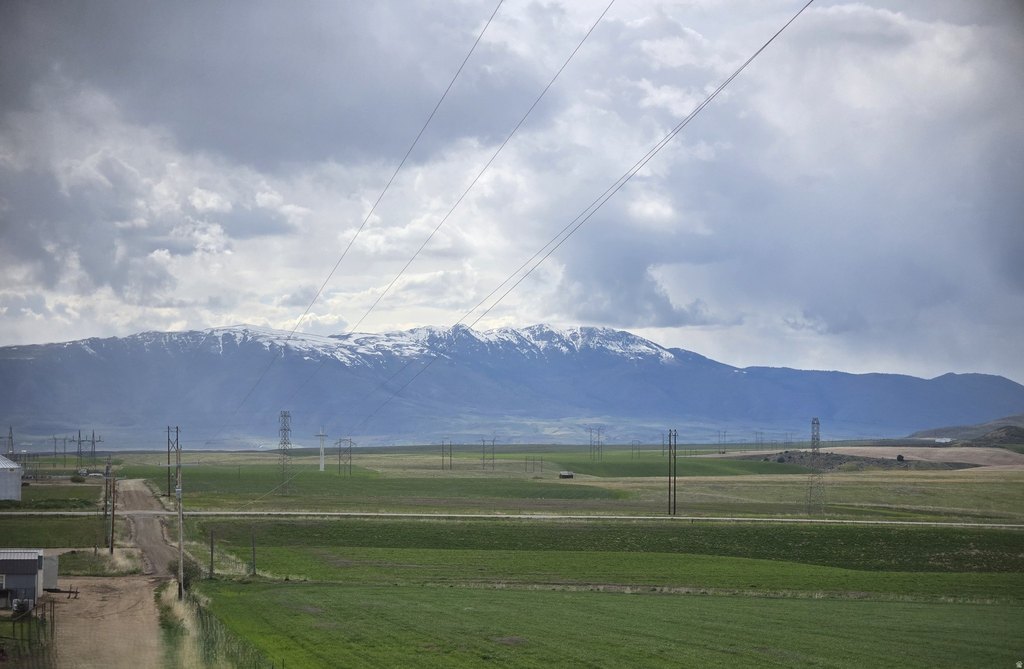 Picture 25