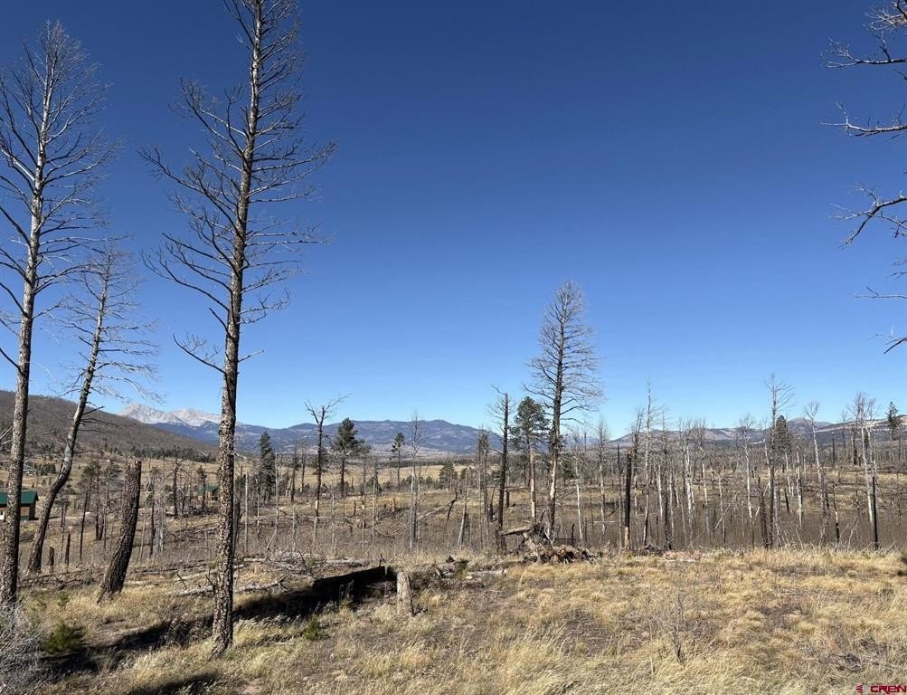 Land in Fort Garland, CO