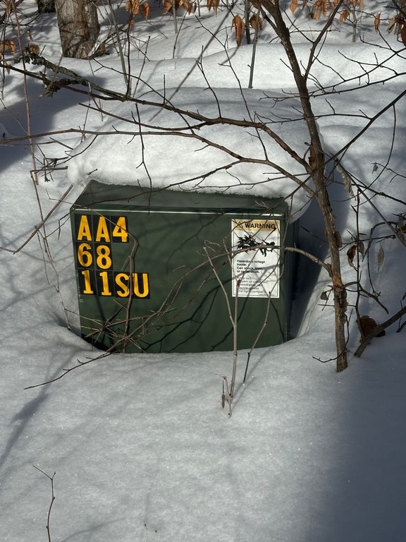 Picture 6